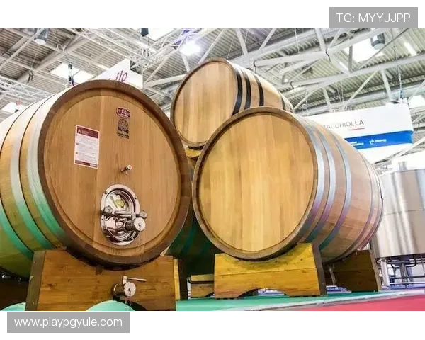 探索ag欧洲厅官网,掌握欧洲厅的最新优惠政策与促销活动详情 探索ag欧洲厅官网,掌握欧洲厅的最新优惠政策与促销活动详情