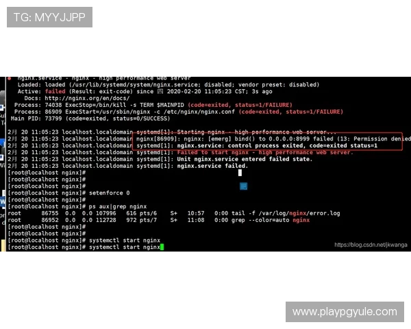 遇到AG视讯官网无法下载怎么办？常见问题解决方案与技术支持介绍